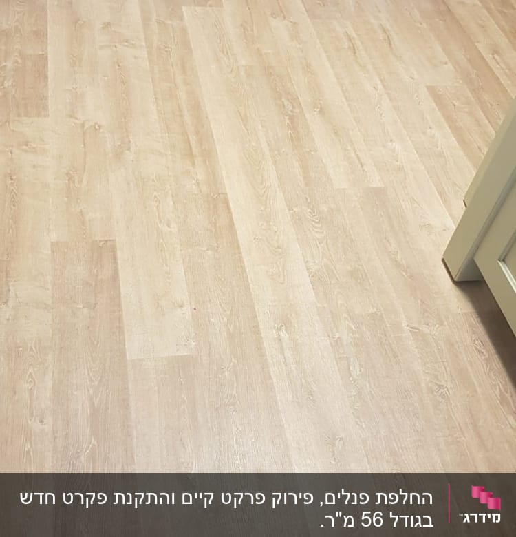 רצפת פרקט עץ בהירה במטבח ביתי